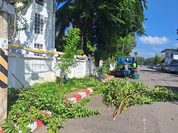 เทศบาลนครสุราษฎร์ธานี โดยสำนักช่าง ดำเนินงานด้านต่างๆ เพื่อค ... Image 1