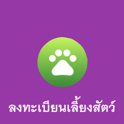 เปิด Application เทศบาลนครสุราษฎร์ธานี รูปภาพ 4