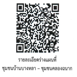 ประกาศเทศบาลนครสุราษฎร์ธานี เรื่อง การรับฟังความคิดเห็นของปร ... รูปภาพ 10
