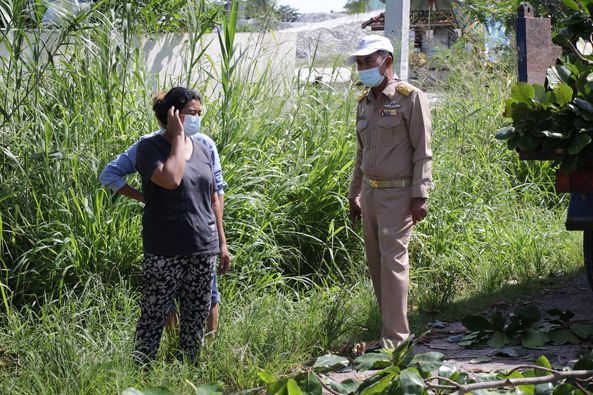 ตัดต้นไม้หน้าคลังน้ำมัน Image 1