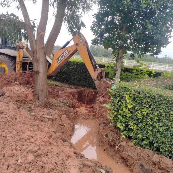 เทศบาลนครสุราษฎร์ธานี โดยสำนักช่าง ดำเนินงานด้านต่างๆ เพื่อค ... รูปภาพ 1