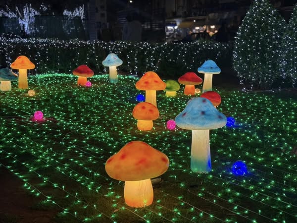 เตรียมกล้องให้พร้อม แล้วมาเจอกันที่ “งานสวนเรืองแสง (Flowers ... รูปภาพ 1