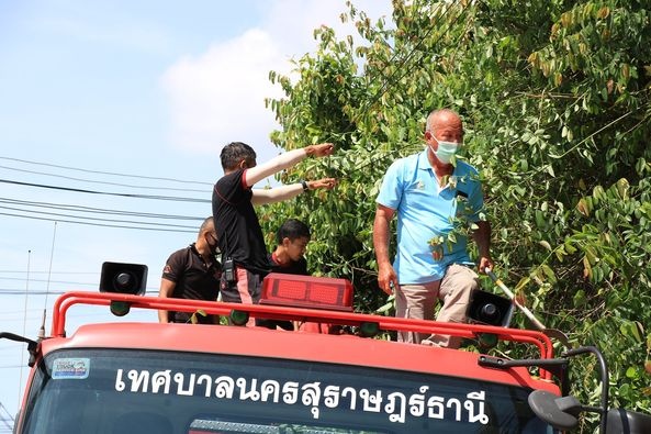 ลงพื้นที่ตัดต้นไม้ ซ.กาญจนวิถี ๑๖ Image 1