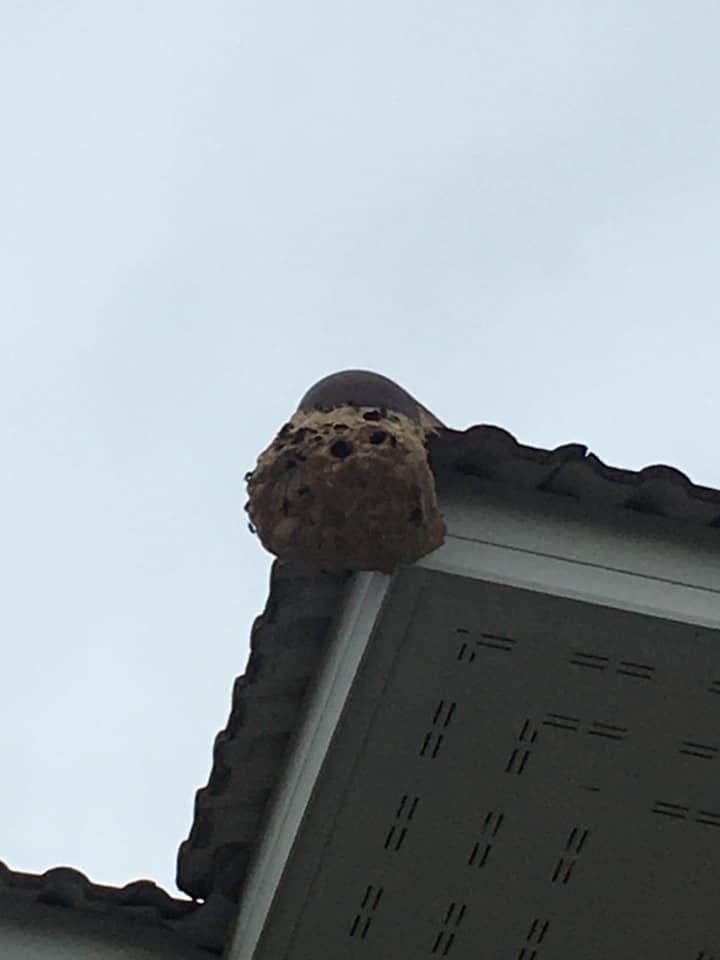 “เผาต่อ” ไม่รอแล้วนะ เมื่อวันที่ ๒๐ มิถุนายน ๒๕๖๔ เทศบาลนครส ... Image 1