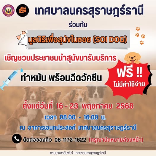 เทศบาลนครสุราษฎร์ธานี ร่วมกับ มูลนิธิสุนัขในซอย (SOI DOG) รูปภาพ 1
