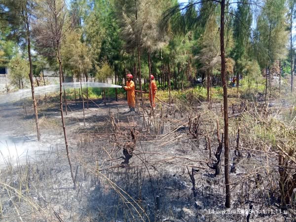 วันนี้ (14 เมษายน 2568) ฝ่ายป้องกันและบรรเทาสาธารณภัย เทศบาล ... รูปภาพ 1