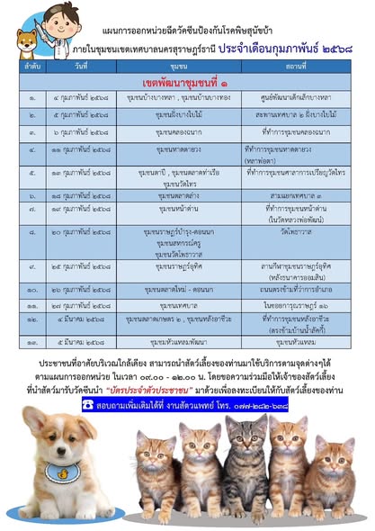 เทศบาลนครสุราษฎร์ธานี ออกหน่วยเคลื่อนที่ให้บริการฉีดวัคซีนป้ ... Image 1