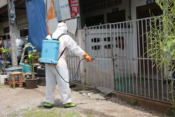 ฉีดพ่นยาฆ่าเชื้อในพื้นที่เขตเทศบาลนครสุราษฎร์ธานี Image 1