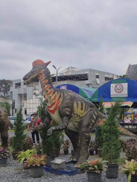 เตรียมพร้อมสำหรับเด็กๆ ทุกคนจ้า รูปภาพ 1