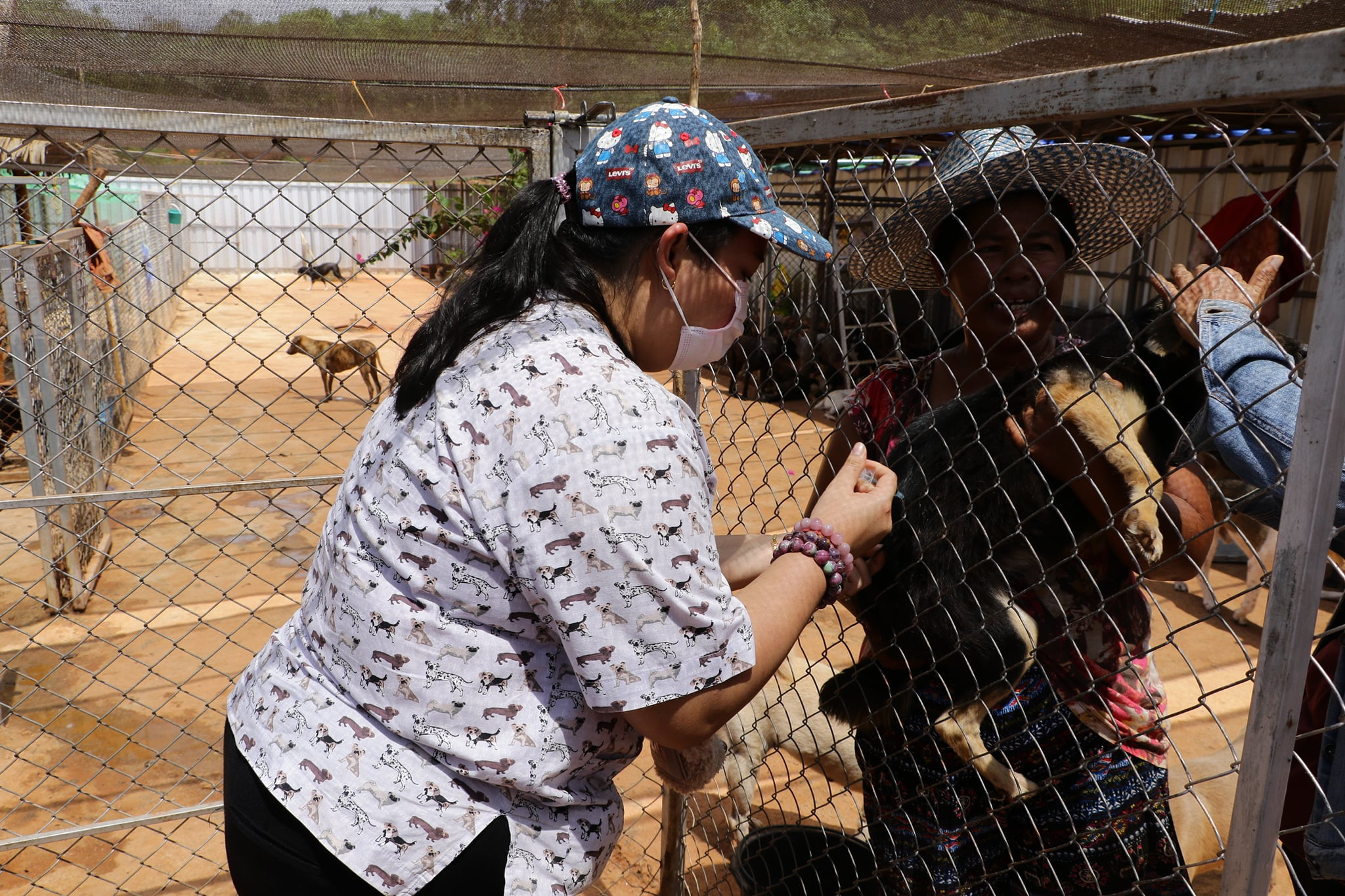 พื้นที่ให้บริการฉีดวัคซีนป้องกันโรคพิษสุนัขบ้าบ้านพักหมาสุดใ ... Image 1