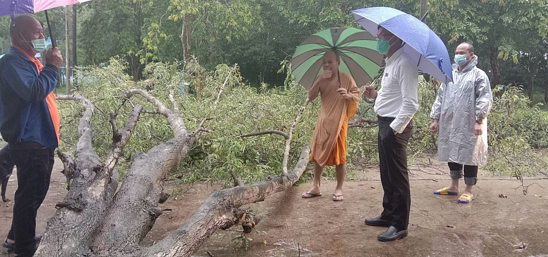 รุดลงพื้นที่เข้าช่วยเหลือตัดต้นไม้ที่ล้มขวางถนน Image 1