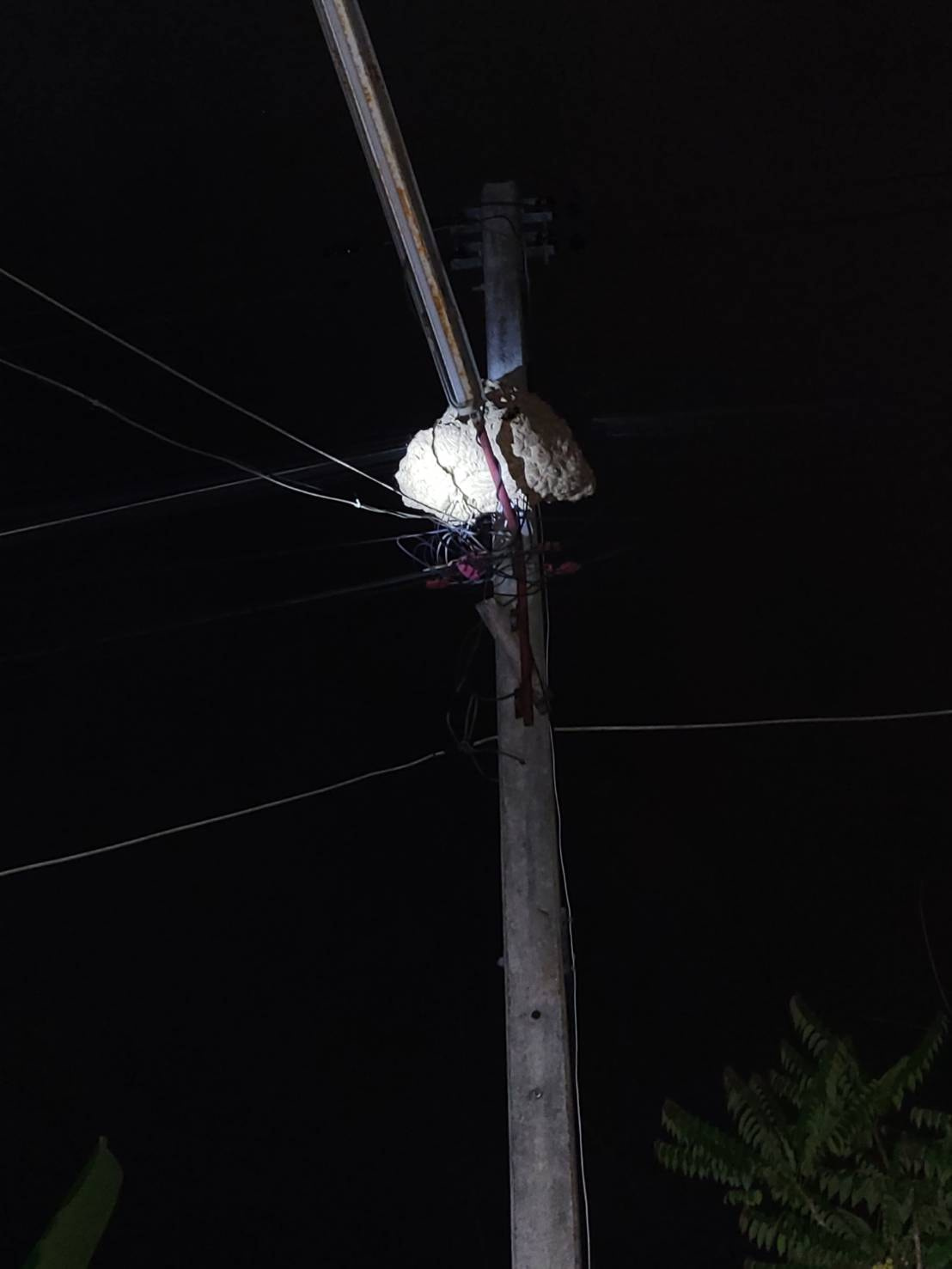 จับตัวต่อบนเสาไฟฟ้า Image 1