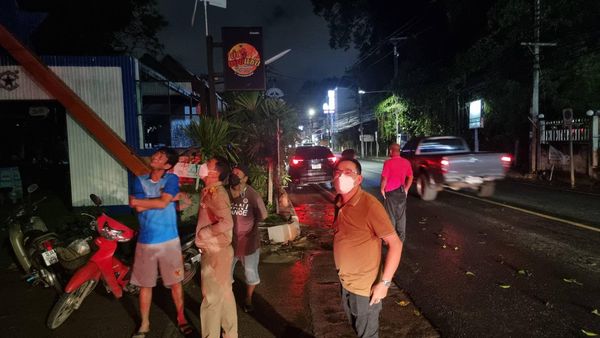 ตัดกิ่งไม้ Image 1