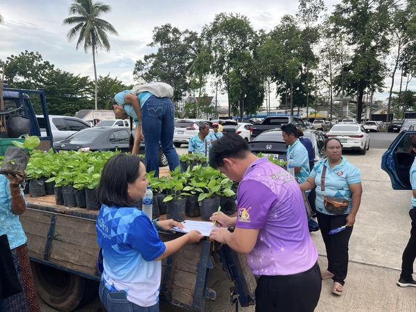 เทศบาลนครสุราษฎร์ธานี โดยสำนักช่าง ดำเนินงานด้านต่างๆ เพื่อค ... รูปภาพ 1