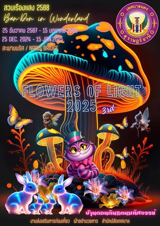 บ้านดอน ดินแดนมหัศจรรย์ Image 1