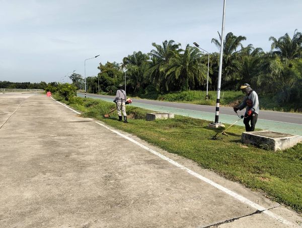 เทศบาลนครสุราษฎร์ธานี โดยสำนักช่าง ดำเนินงานด้านต่างๆ เพื่อค ... รูปภาพ 1