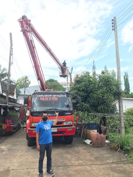 ทุกปัญหาพร้อมแก้ไข “ตัดกิ่งไม้พาดสายไฟฟ้า เพื่อความปลอดภัยขอ ... Image 1