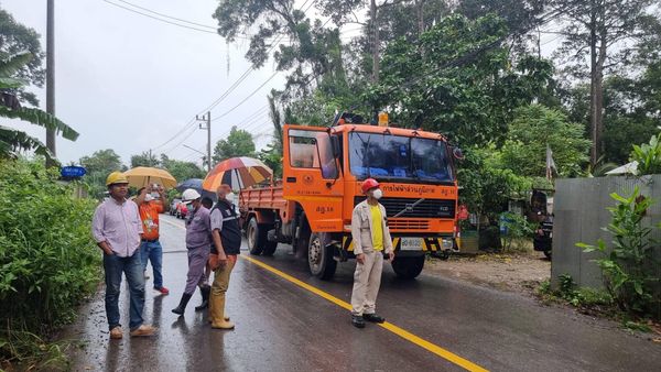 ตัดต้นไม้วัดโพธิ์ ๓๑ Image 1