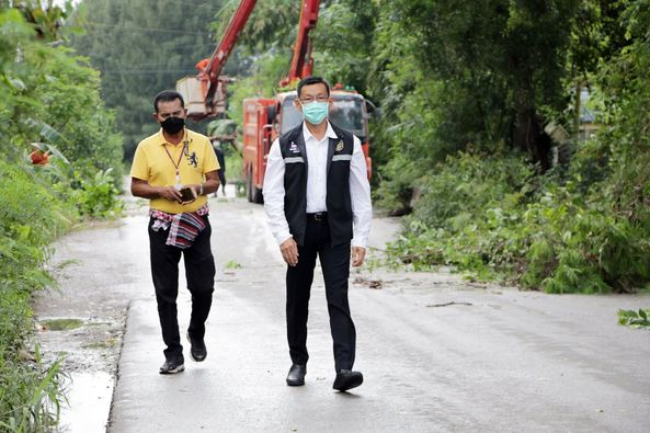 ทน.สฎ.ร่วมตัดแต่งกิ่งไม้ปรับภูมิทัศน์บริเวณถนนบางอิฐ Image 1