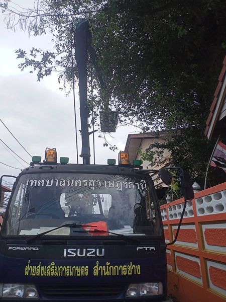 ลงพื้นที่ดำเนินการตัดกิ่งไม้ข้างวัดโพธาวาส Image 1