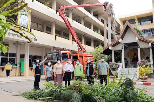 ตัดต้นไม้ในวิทยาลัยอาชีวศึกษาสุราษฎร์ธานี Image 1