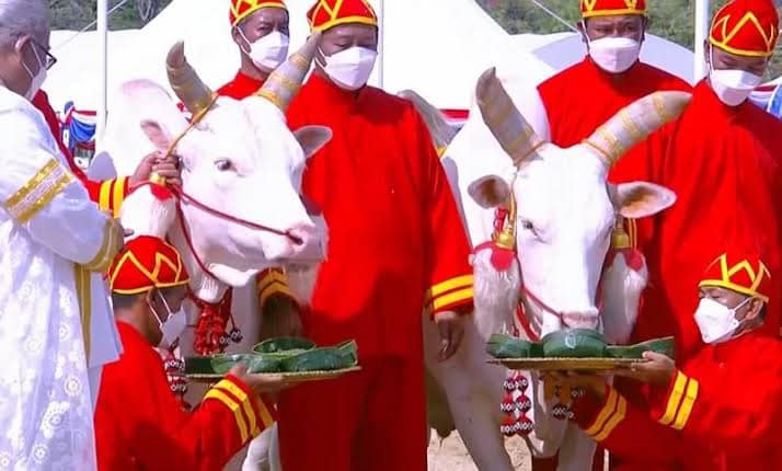 วันพืชมงคล Image 1