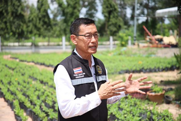 เชิญชวนผู้ประกอบการร่วมจำหน่ายสินค้าราคาประหยัดแบบเหมาถุง กร ... รูปภาพ 1