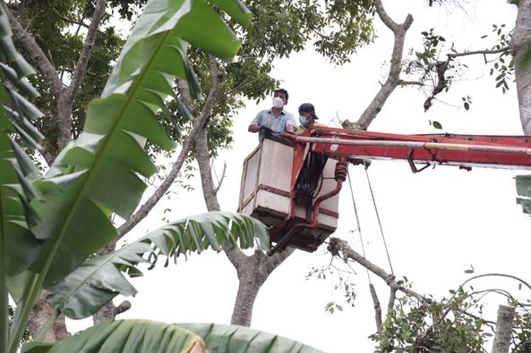 ตัดต้นไม้ซอยขุนทะเล ๑๙ Image 1