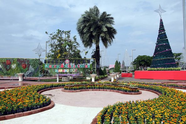 เตรียมพบกับ!!! ดอกไม้งามหลากสีสันในสวน “ทุ่งดาวเรืองเมืองสุร ... Image 1