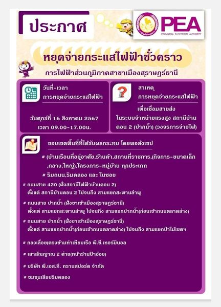 การไฟฟ้าส่วนภูมิภาคสาขาเมืองสุราษฎร์ธานี รูปภาพ 1