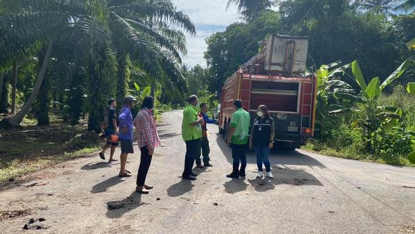 แก้ไขปัญหาต้นไม้ล้มทับสายไฟฟ้า Image 1