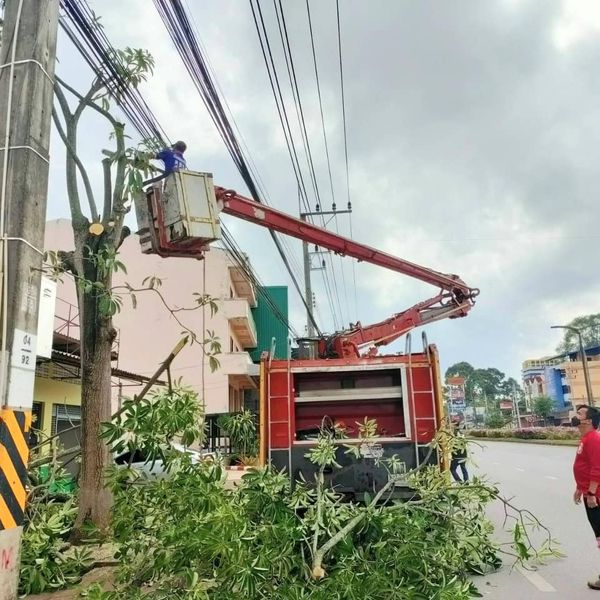 เทศบาลนครสุราษฎร์ธานี ลงพื้นที่ตัดกิ่งไม้ ต้นไม้บริเวณริมถนน ... Image 1