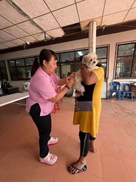 เทศบาลนครสุราษฎร์ธานี ออกหน่วยเคลื่อนที่ให้บริการฉีดวัคซีนป้ ... Image 1