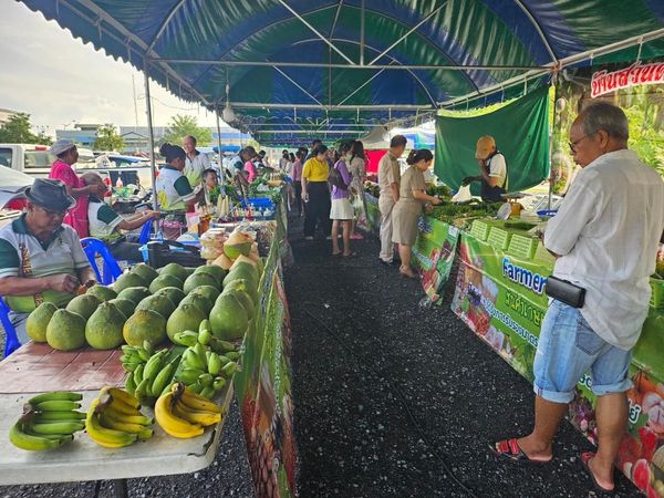 พรุ่งนี้เช้า อย่าลืมแวะมาเลือกซื้อสินค้าที่ตลาดนัดเทศบาล รูปภาพ 1