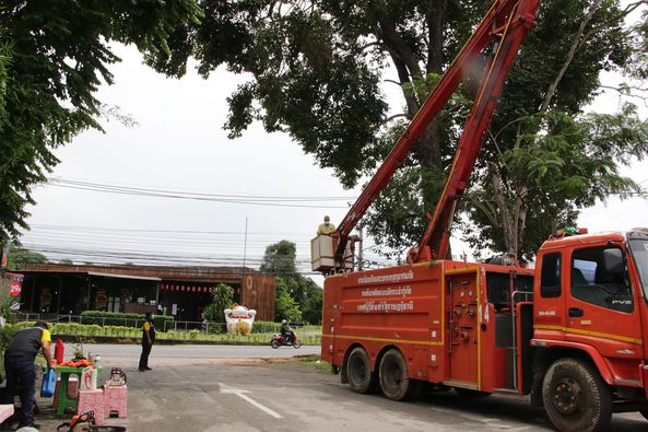 เทศบาลนครสุราษฎร์ธานี ลงพื้นที่ตัดต้นไม้ใหญ่ข้างร้านชายคาเคี ... Image 1