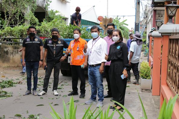 ตัดต้นไม้บริเวณซอยดอนนก๑/๑ Image 1