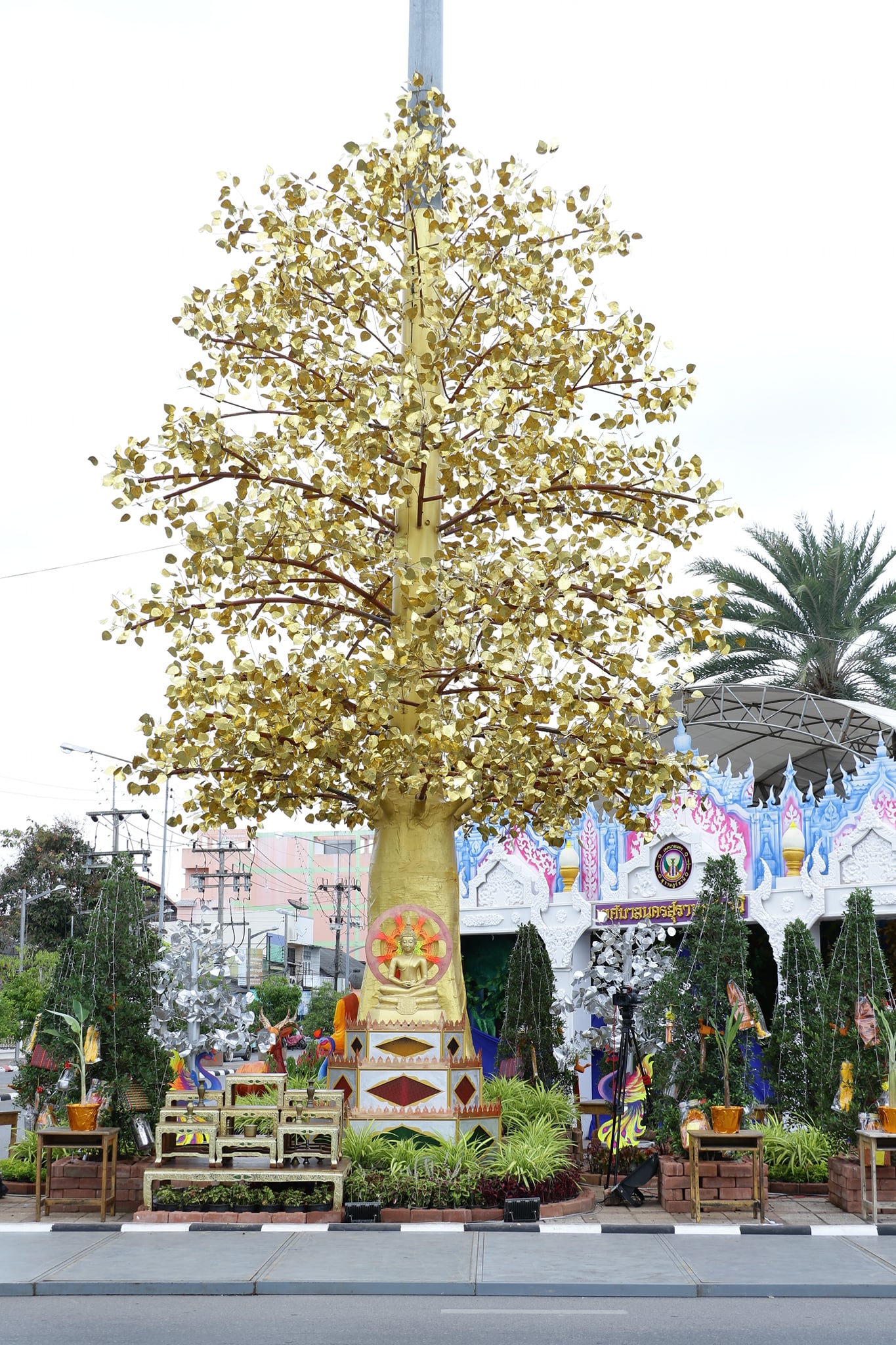 เทศบาลนครสุราษฎร์ธานีเตรียมพร้อมงานประเพณีชักพระฯ Image 1