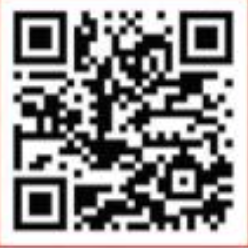 วารสารเทศบาล นครสุราษฎร์ธานี ฉบับที่ 252 ประจำเดือนกุมภาพันธ ... รูปภาพ 2