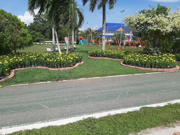 เทศบาลนครสุราษฎร์ธานี โดยสำนักช่าง ดำเนินงานด้านต่างๆ เพื่อค ... รูปภาพ 1