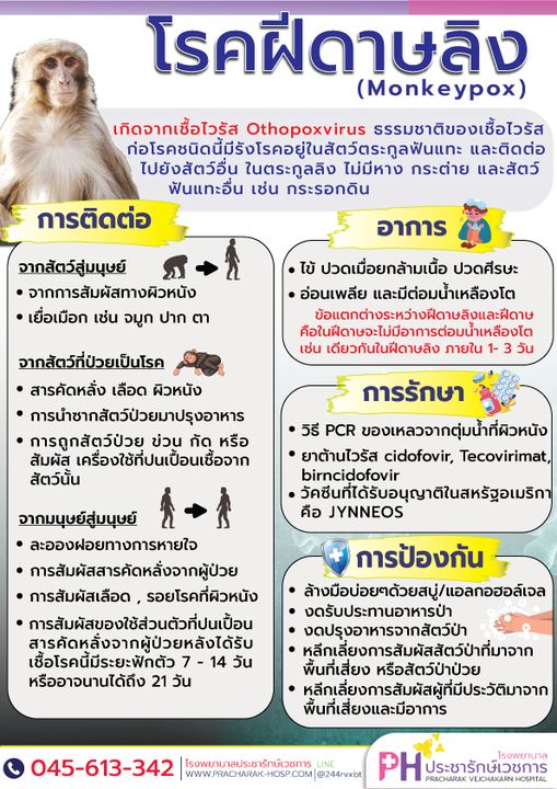 ฝีดาษลิง โรคระบาดใหม่ที่ไม่ควรมองข้าม รูปภาพ 1