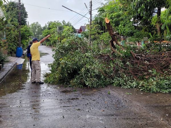 ตัดต้นไม้ล้ม ถ.กาญจนวิถี ๑๖ ซ.๙ หน้ามบ.บัวหลวง Image 1