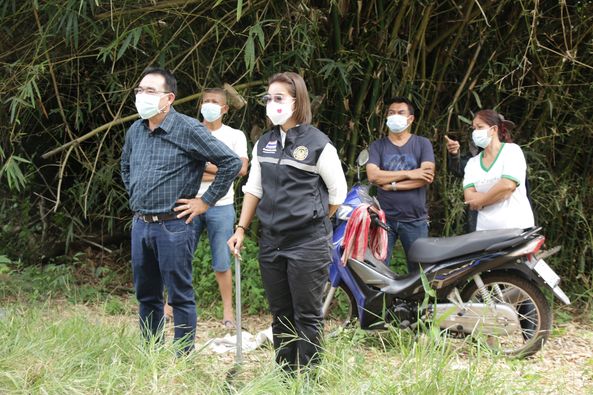 ตัดแต่งกิ่งไม้ที่ขึ้นสูงบริเวณถนนพ่อขุนทะเล ซอย๒๕ Image 1