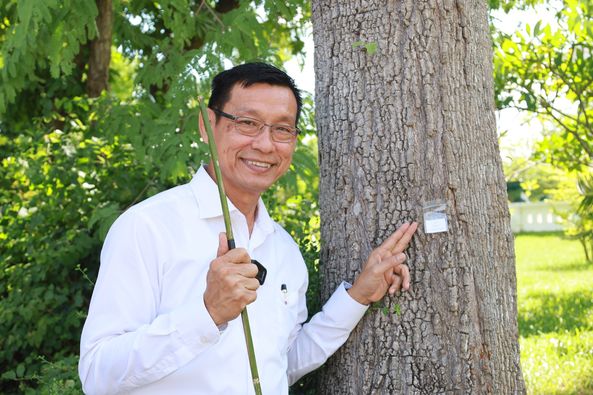 วันนี้ (20 มิถุนายน 2566) เทศบาลนครสุราษฎร์ธานี โดยนายประเสร ... Image 1