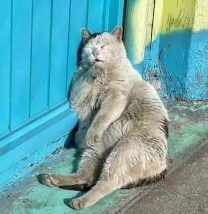 ไม่ว่าคุณจะผ่านอะไรมา แต่ถ้าผ่านมาเทศบาล มาฉีดวัคซีนป้องกันโ ... รูปภาพ 1