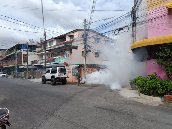 เทศบาลนครสุราษฎร์ธานี โดยงานป้องกันและควบคุมโรคติดต่อ สำนักส ... Image 1