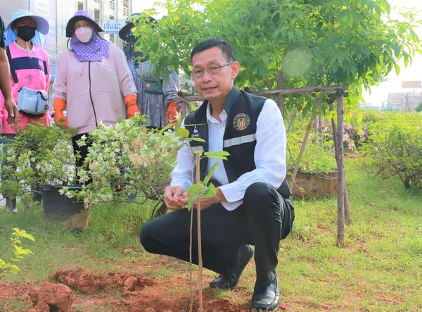 ลงพื้นที่ปลูกต้นไม้ เพิ่มพื้นที่สีเขียว รูปภาพ 1