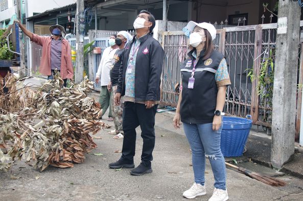 ตัดต้นไม้บริเวณถนนประชารัฐและการุณราษฎร์ ๒๗ Image 1