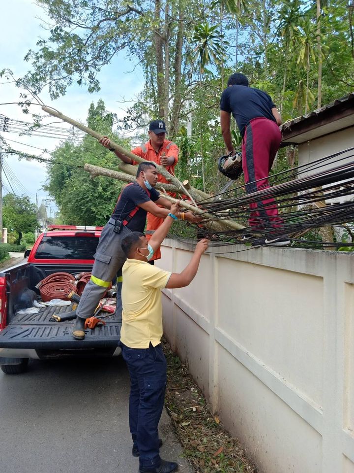 เร่งแก้ไขปัญหาเหตุต้นไม้ล้มพาดสายไฟฟ้า Image 1