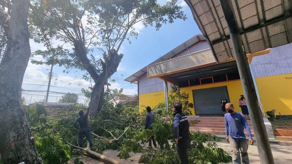 ขอความอนุเคราะห์ให้ไปดำเนินการตัดต้นไม้ Image 1