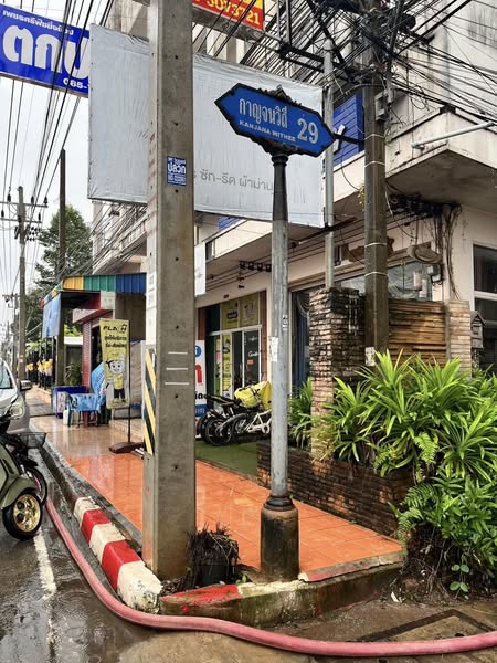 วันนี้ (14 ธ.ค. 67) เทศบาลนครสุราษฎร์ธานี ขอรายงานความคืบหน้ ... รูปภาพ 1